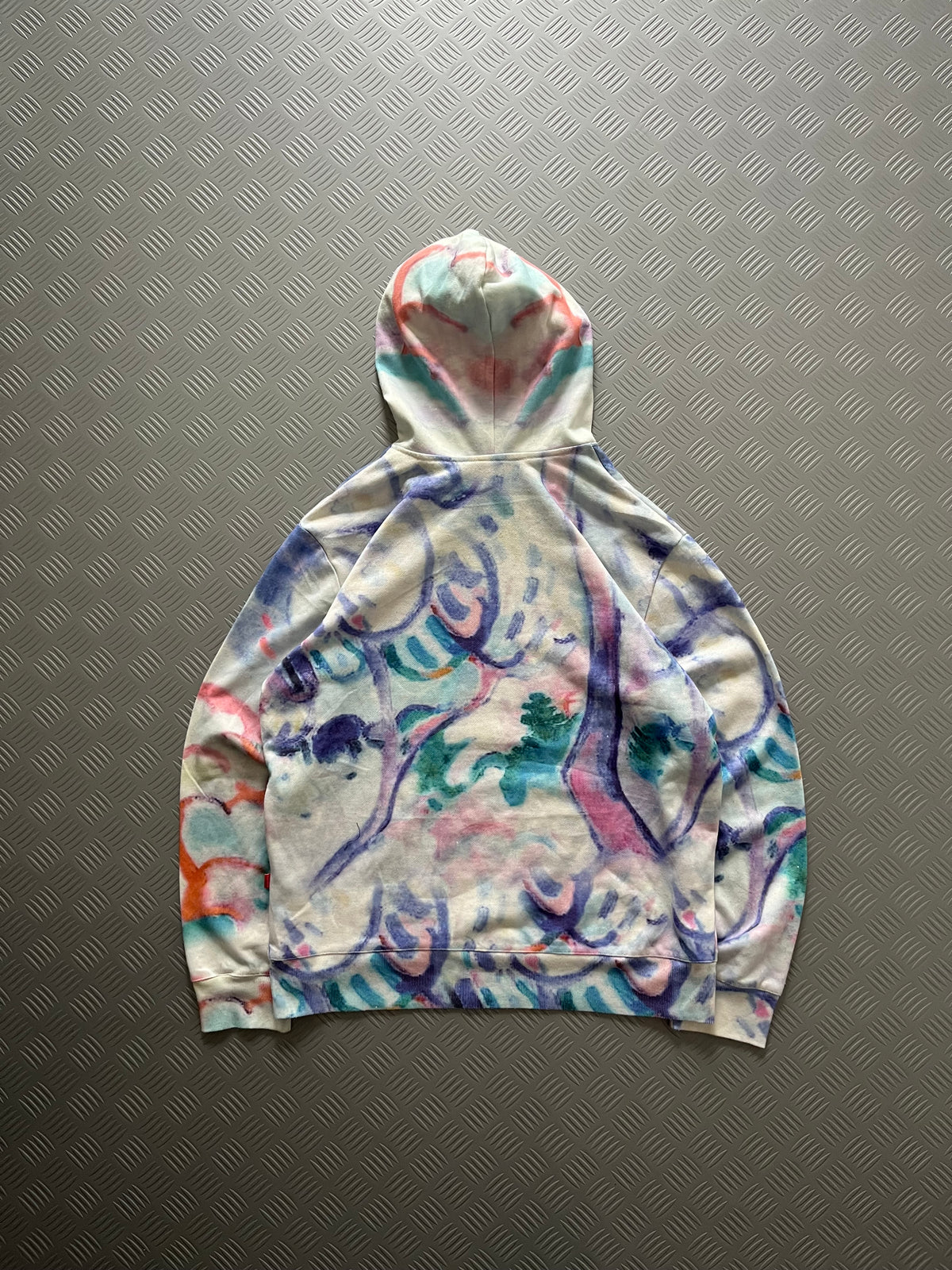 SUPREME LANDSCAPE HOODIE